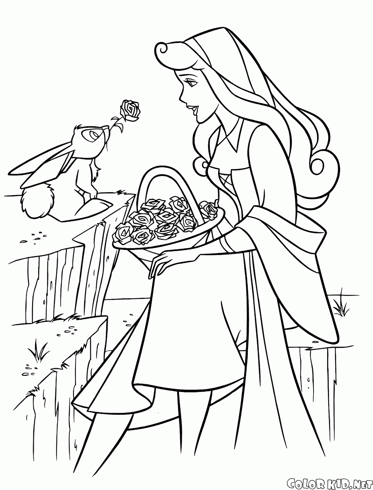 Prenses Aurora ve tavşan