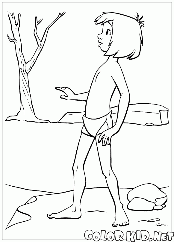 Mowgli orman araştırıyor