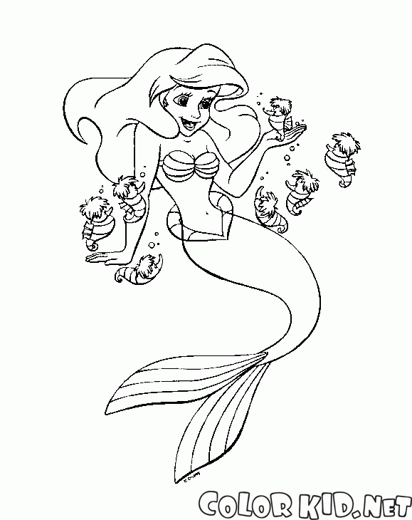 Ariel ve denizatı