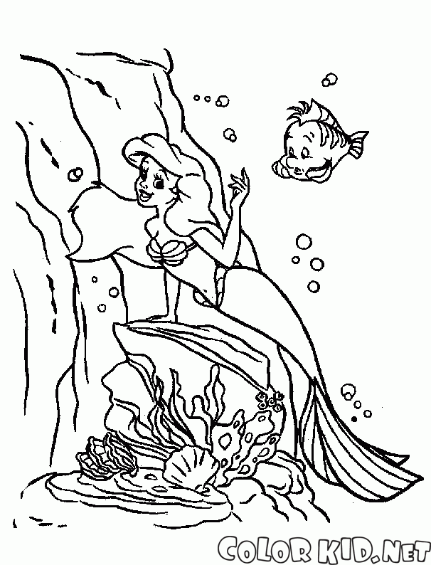 The Little Mermaid ve Pisi