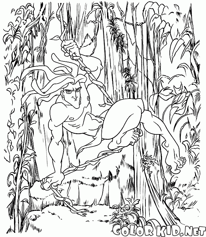 Bir asma üzerinde Tarzan