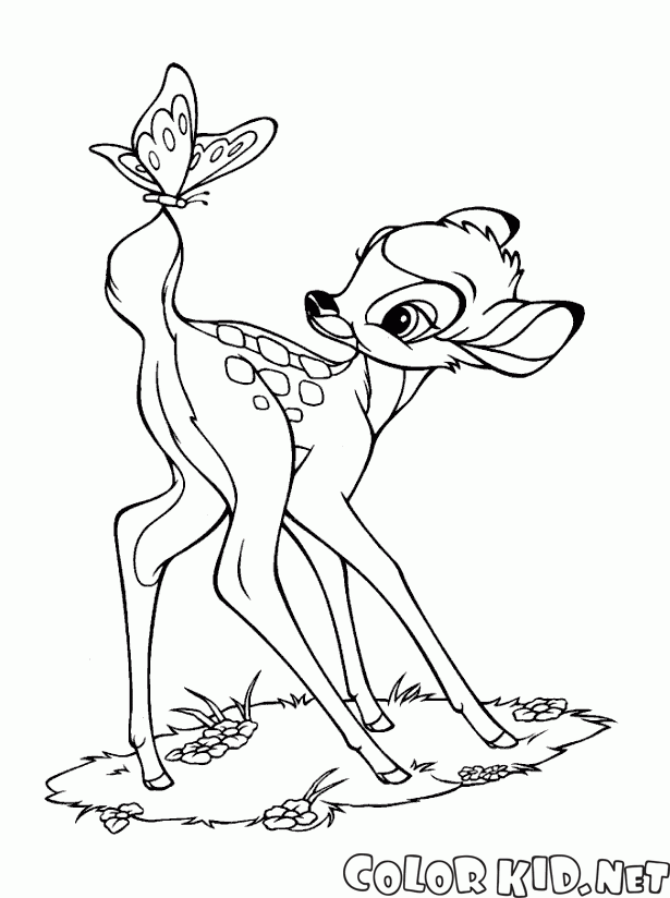 Bambi ve Kelebek