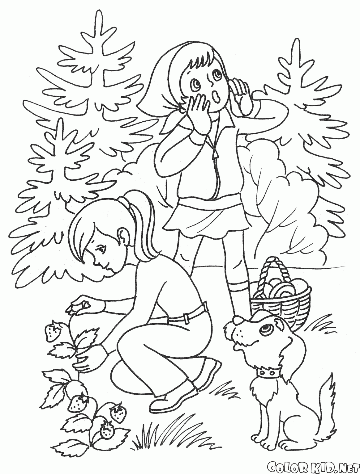 Ormanda yaz aylarında çocuklar