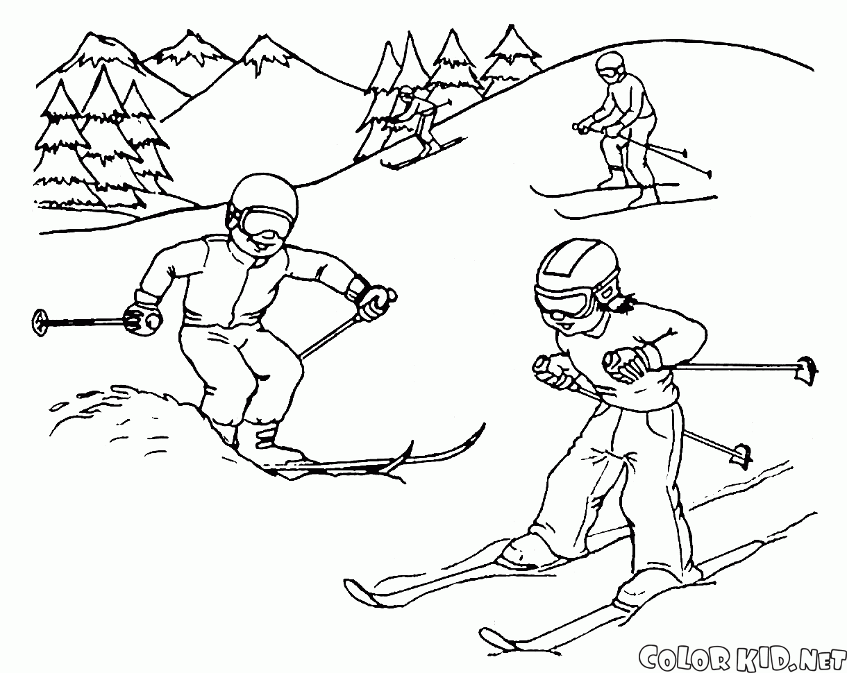 Kayakçılık