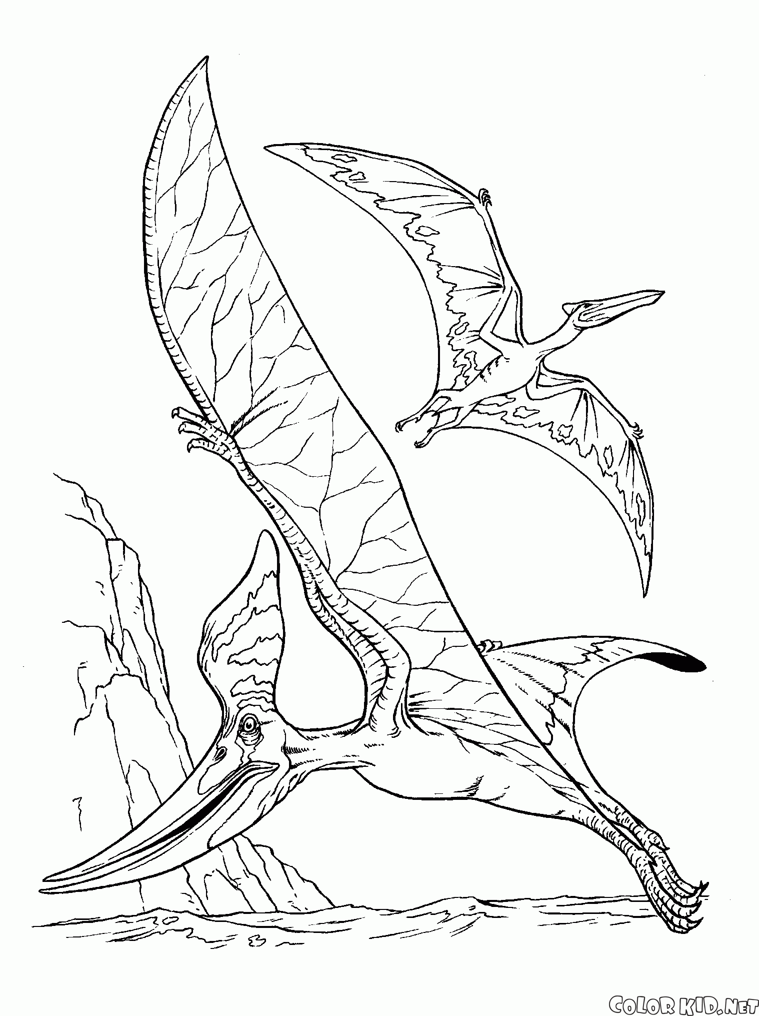 Pteranodon ve pterodactyl