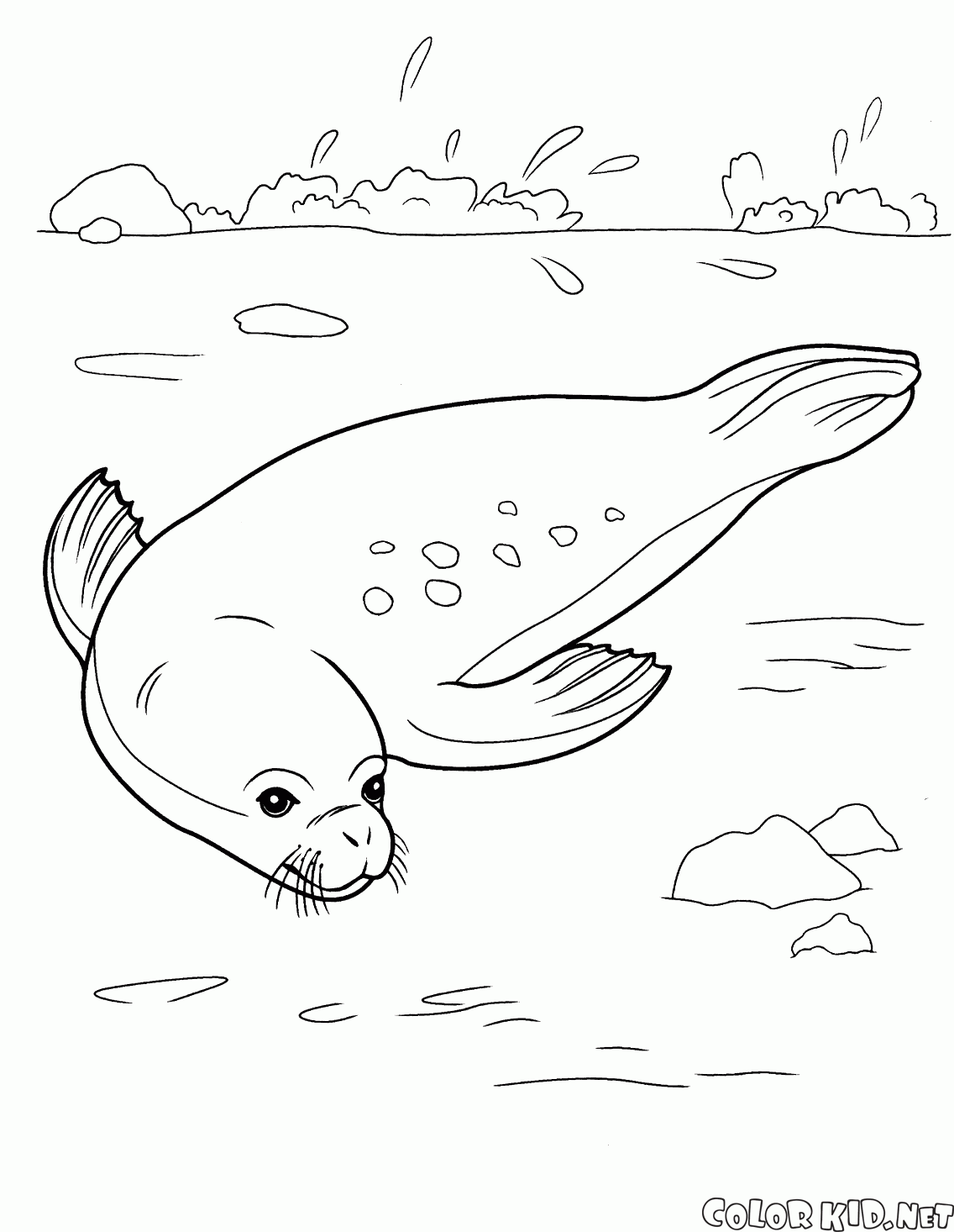 Seal rahatlatıcı