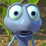 Bir Böceğin Yaşamı