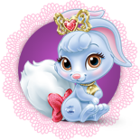 Asil evcil hayvanlar