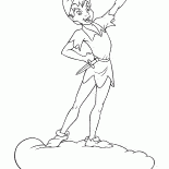 Bir bulut Peter Pan