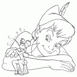 Tinker Bell ve Peter Pan