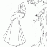 Ormanda Aurora