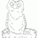 Küçük Hawk - Hannah