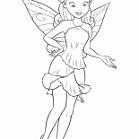 Peri Rosetta