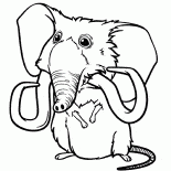 Sandynin pet
