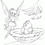Peri ve civciv