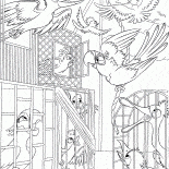 Özgür olmak isteyen