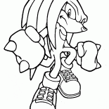 Knuckles Echidna