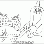 Mole ve çilek