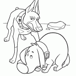 Doug azarladı ediliyor