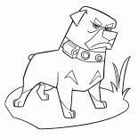 Kızgın köpek