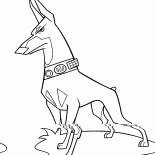 Köpek elektrik yaka