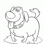 Neşeli köpek Doug