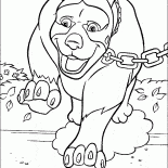 Büyük köpek
