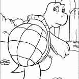 Sürüngen kaplumbağa