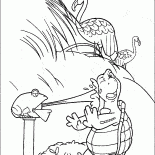 Deniz kaplumbağası