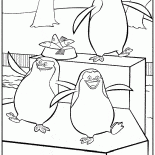 Madagaskar penguenleri