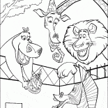 Martynin Doğum Günü