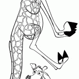 Melman eğlenmeyi olduğunu