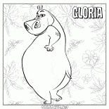 Jungle Gloria