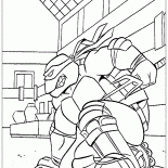 Rollerskates Raphael
