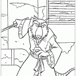 Usta Splinter