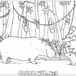 Hippo ile Toplantı
