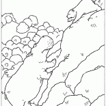 Hippo ve Ayı