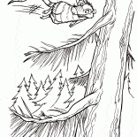 Uçan opossum