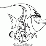 Skar ve Nemo