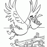 Pelican ve balık