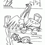 Heron avcılık