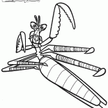 Usta Mantis