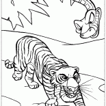 Shere Khan ve Kaa