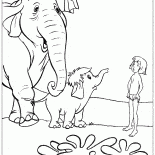 Mowgli ve Baby Elephant