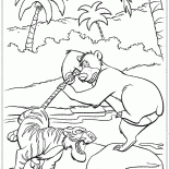 Shere Khan ve Baloo Savaşı
