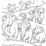 Filler sürüsü