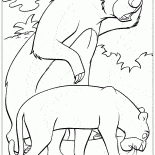 Baloo ve Bagheera bulmak için