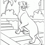 Panter Bagheera