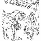 Elma ile Amerikan Yerli