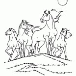 Kabile Prairie